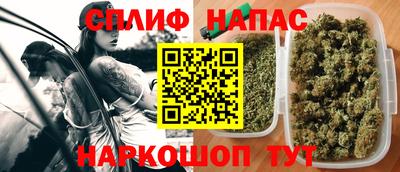 гашик Заводоуковск