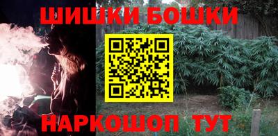 гашик Заводоуковск