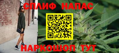 СК Жуковский