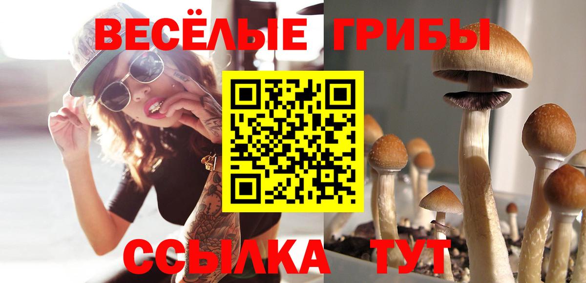 Урай  Псилоцибиновые грибы MAGIC MUSHROOMS  Вход с VPN 