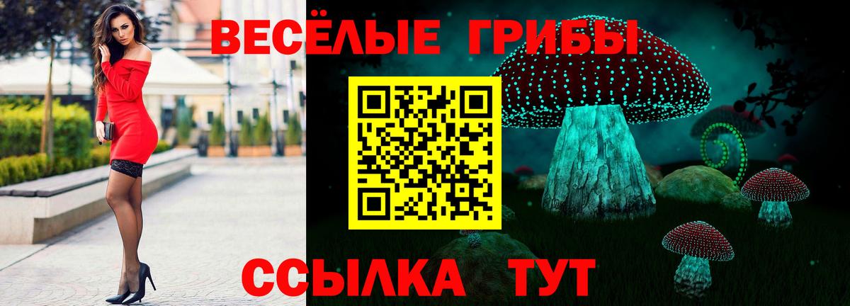 Галлюциногенные грибы GOLDEN TEACHER Урай